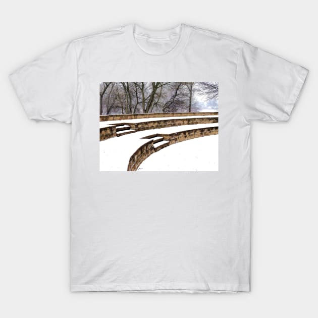 Snowy Steps at Phillips Park T-Shirt by bgaynor